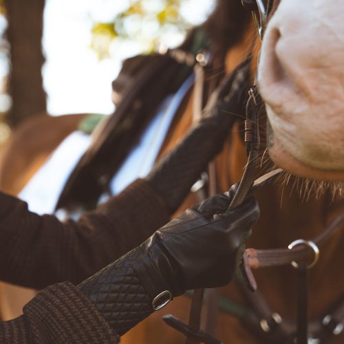 x-horse-produkty-dla-koni-strzemiona-czapraki