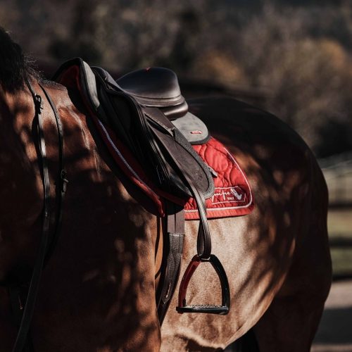 xhorse-aksesoria-siodla-jak-dobrac-idealne-siodlo-do-konia-i-jezdzca-dopasowanie-komfort-balance